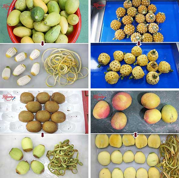 6 in 1 Kiwi Pineapple Lemon Mango Fruit Peeling, Coring, End Trumming, Segments Cutting, Separating, Color Protection Machine