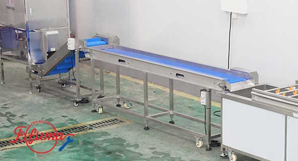 Complete Cabbage Processing Machinery Flow: A Comprehensive Equipment Guide from Preprocessing to Packaging