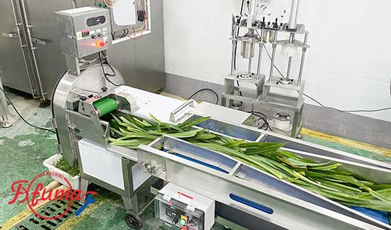 Complete Cabbage Processing Machinery Flow: A Comprehensive Equipment Guide from Preprocessing to Packaging
