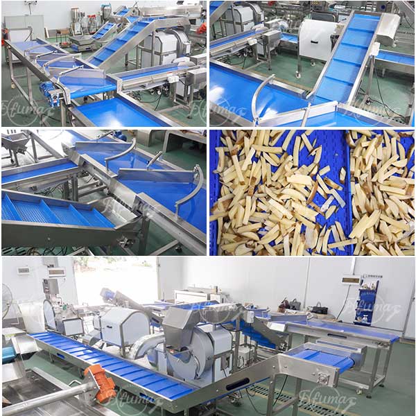 Vegetable and Fruit Distribution Device Sortation Conveyor System for Post-Processing Machines