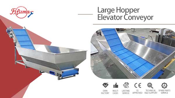 Industrial Vegetable Fruit Food Large Hopper Elevator Conveyor