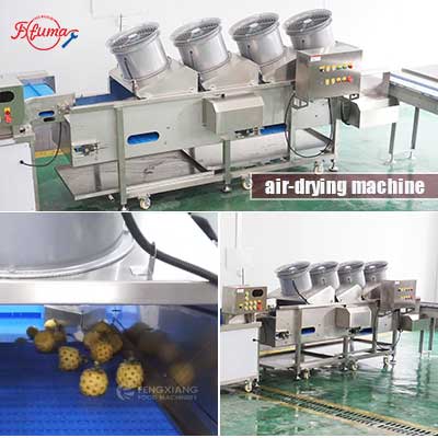 Baby Pineapple Peeling End-Cutting Washing and Packaging Machine