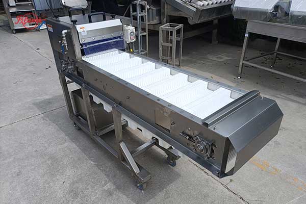Horizontal Diagonal and Straight Cut Fresh Fish Slicer Machine