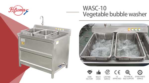 Commercial Single Tank Vegetable Ozone Bubble Washer Machine WASC-10