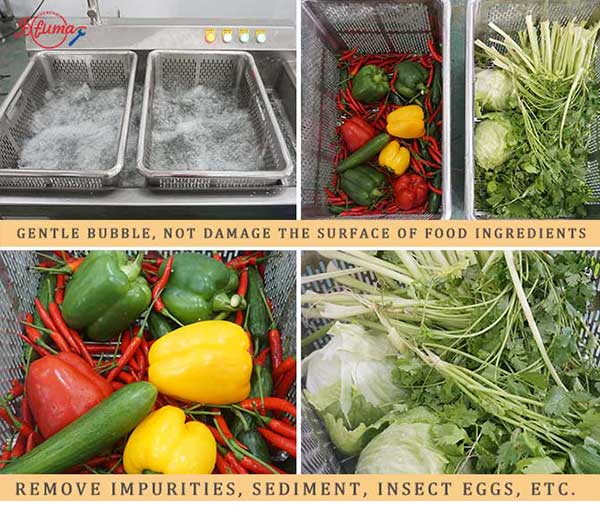 Commercial Single Tank Vegetable Ozone Bubble Washer Machine WASC-10