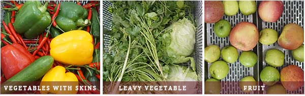 Commercial Single Tank Vegetable Ozone Bubble Washer Machine WASC-10