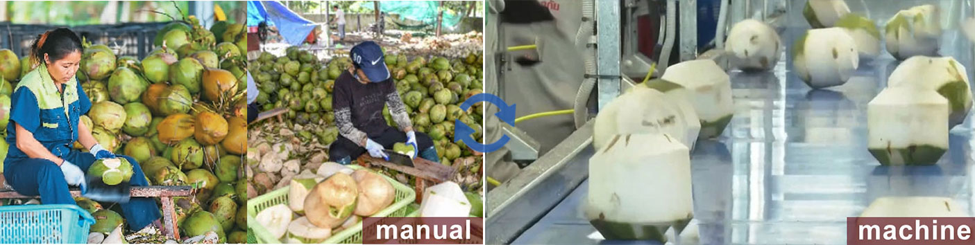 Global Coconut Processing Machines: From Manual Labor to Smart Automation