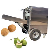Global Coconut Processing Machines: From Manual Labor to Smart Automation