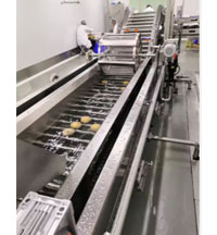 Global Coconut Processing Machines: From Manual Labor to Smart Automation