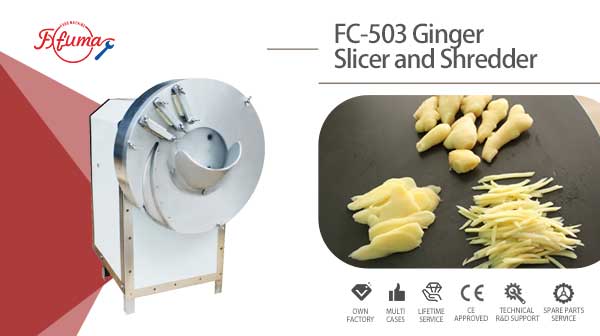 2-in-1 Fresh Ginger Slicer and Shredder Machine FC-503