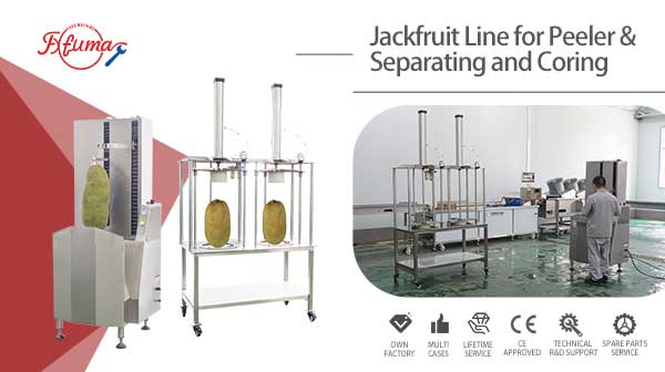 Jackfruit Peeling Machine and Pneumatic Separating