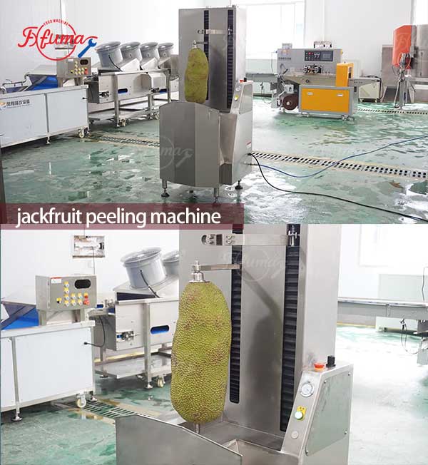 Jackfruit Peeling Machine and Pneumatic Separating