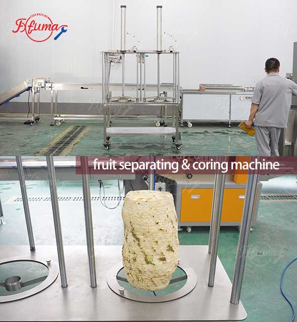 Jackfruit Peeling Machine and Pneumatic Separating