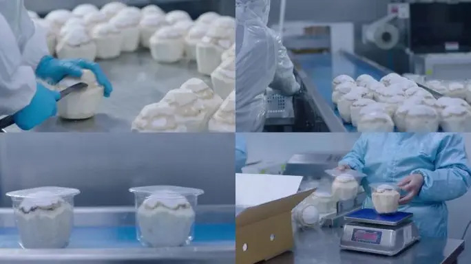 Upgrading the Fruit and Vegetable Processing Industry in Southeast Asia: A Practical Guide to Choosing the Right Peeling Equipment