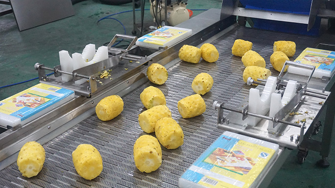 Upgrading the Fruit and Vegetable Processing Industry in Southeast Asia: A Practical Guide to Choosing the Right Peeling Equipment