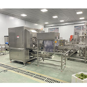 Upgrading the Fruit and Vegetable Processing Industry in Southeast Asia: A Practical Guide to Choosing the Right Peeling Equipment