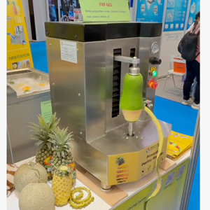 Upgrading the Fruit and Vegetable Processing Industry in Southeast Asia: A Practical Guide to Choosing the Right Peeling Equipment