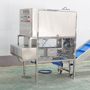 Upgrading the Fruit and Vegetable Processing Industry in Southeast Asia: A Practical Guide to Choosing the Right Peeling Equipment
