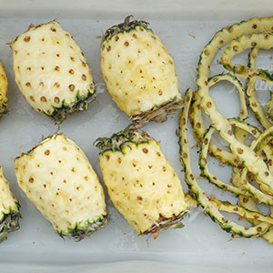 Upgrading the Fruit and Vegetable Processing Industry in Southeast Asia: A Practical Guide to Choosing the Right Peeling Equipment