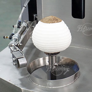 Upgrading the Fruit and Vegetable Processing Industry in Southeast Asia: A Practical Guide to Choosing the Right Peeling Equipment