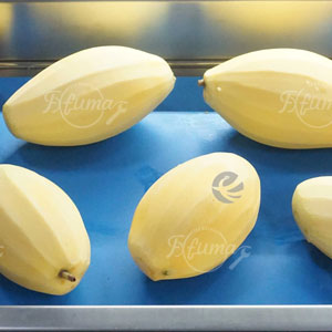 Upgrading the Fruit and Vegetable Processing Industry in Southeast Asia: A Practical Guide to Choosing the Right Peeling Equipment