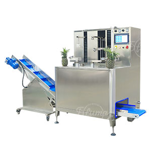 Upgrading the Fruit and Vegetable Processing Industry in Southeast Asia: A Practical Guide to Choosing the Right Peeling Equipment
