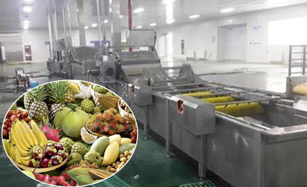 Upgrading the Fruit and Vegetable Processing Industry in Southeast Asia: A Practical Guide to Choosing the Right Peeling Equipment
