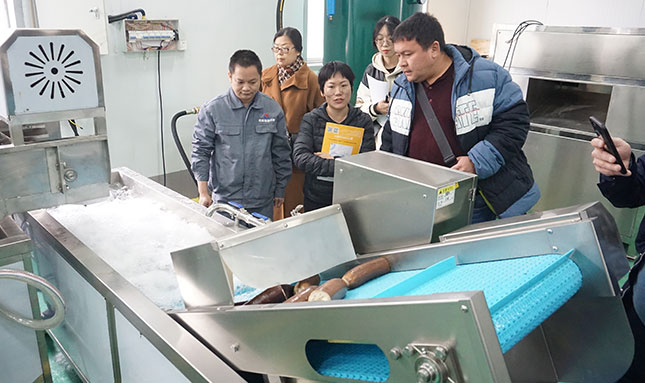 Upgrading the Fruit and Vegetable Processing Industry in Southeast Asia: A Practical Guide to Choosing the Right Peeling Equipment