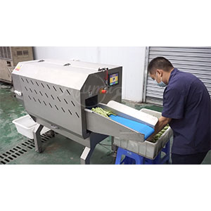 Fresh Green Beans Pre-Cutting and Pre-Cleaning Production Machine