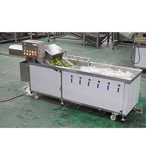 Fresh Green Beans Pre-Cutting and Pre-Cleaning Production Machine