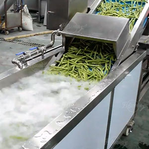 Fresh Green Beans Pre-Cutting and Pre-Cleaning Production Machine