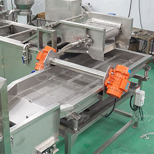 Fresh Green Beans Pre-Cutting and Pre-Cleaning Production Machine