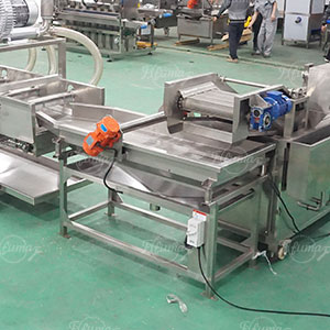 Fresh Green Beans Pre-Cutting and Pre-Cleaning Production Machine