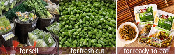 Fresh Green Beans Pre-Cutting and Pre-Cleaning Production Machine
