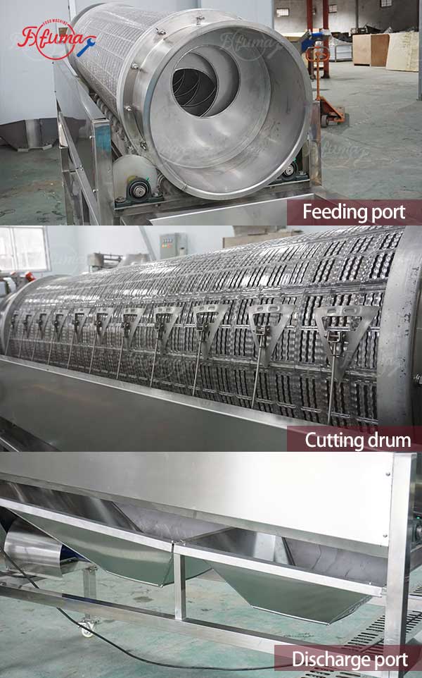 Automatic Green Bean Top and End Trimming Machine DD-250