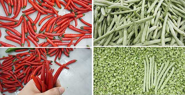 Automatic Green Bean Top and End Trimming Machine DD-250