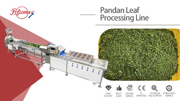 Pandan Leaf Sorting, Bubble Washing and Cutting Machine