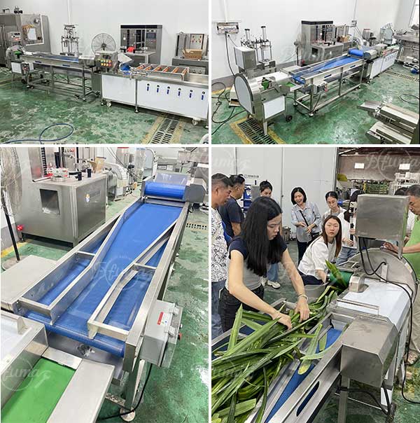 Pandan Leaf Sorting, Bubble Washing and Cutting Machine