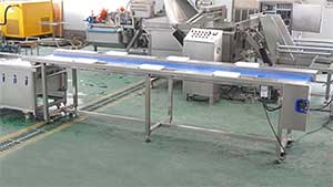 Pandan Leaf Sorting, Bubble Washing and Cutting Machine