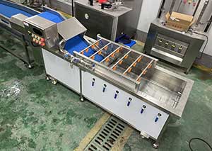 Pandan Leaf Sorting, Bubble Washing and Cutting Machine