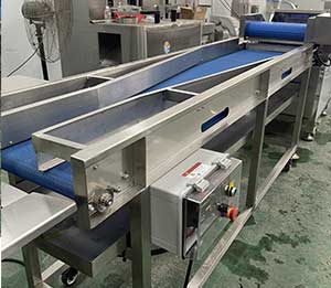 Pandan Leaf Sorting, Bubble Washing and Cutting Machine