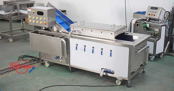Food Grade Mango Hot Water Treatment Fruit Blanching Machine PT-1000