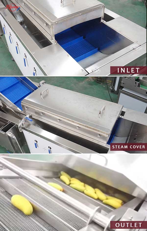 Food Grade Mango Hot Water Treatment Fruit Blanching Machine PT-1000