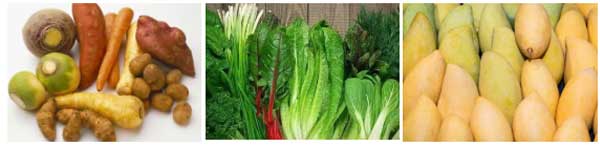 Food Grade Mango Hot Water Treatment Fruit Blanching Machine PT-1000