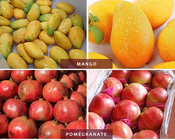 Industrial Vegetable and Fruit Bubble Washer with Pressure Spray