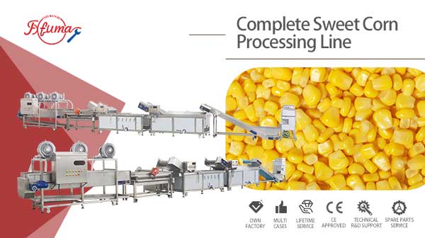 Industrial Complete Sweet Corn Processing Line
