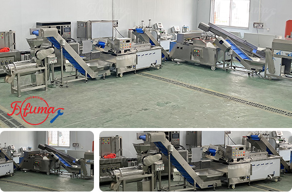 Small Scale Plum Emblica Gooseberry Juice Processing Line - Washing, Coring, Blanching, Juice Extraction