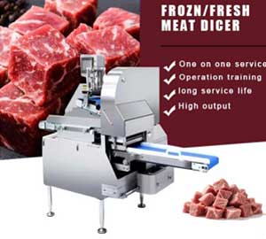 How to Choose the Right Meat Cutting Machine | Meat Dicer, Slicer, Shredder