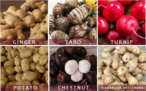 Industrial Root Vegetable Taro Potato Carrot Ginger Rotary Barrel Washing Machine with Elevaytor