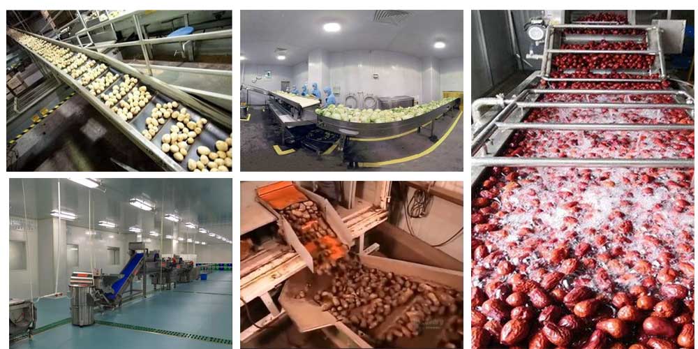 Full Guide to Fruit and Vegetable Brush Washing Machines: Structure, Applications, and Selection Tips